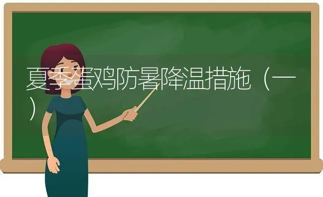 如何提高养鸡的育雏成活率 | 家禽养殖