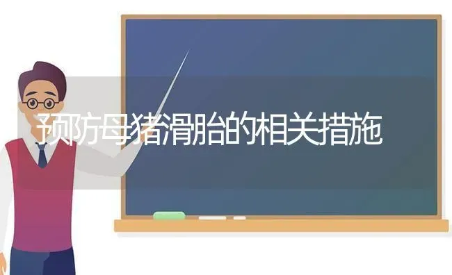 预防母猪滑胎的相关措施 | 家畜养殖