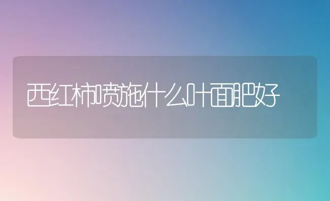 绝不能在养猪中使用“瘦肉精” | 家畜养殖