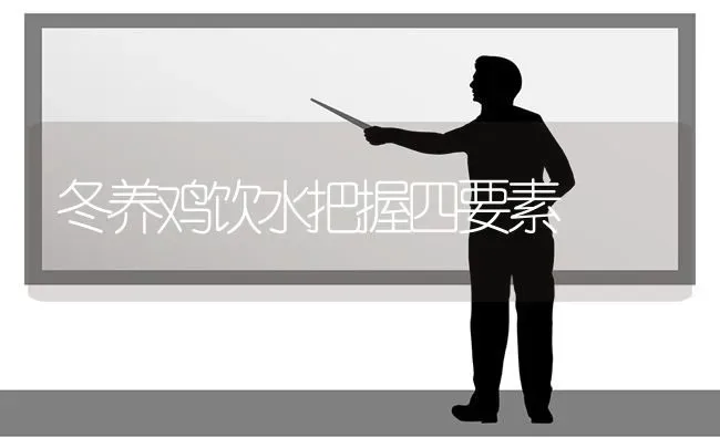 冬养鸡饮水把握四要素 | 家禽养殖