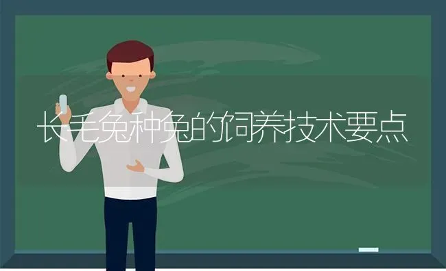 长毛兔种兔的饲养技术要点 | 家畜养殖