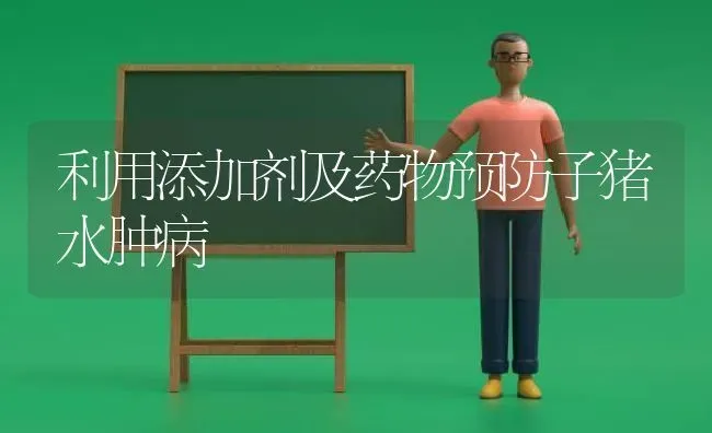 利用添加剂及药物预防子猪水肿病 | 养殖病虫害防治