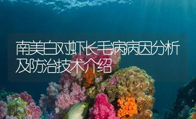 南美白对虾长毛病病因分析及防治技术介绍 | 海水养殖