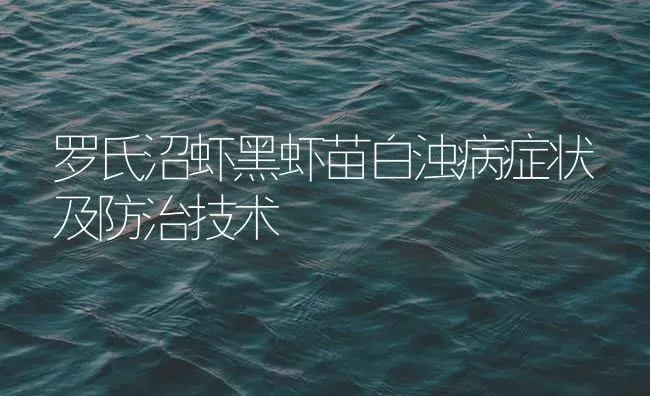 罗氏沼虾黑虾苗白浊病症状及防治技术 | 海水养殖