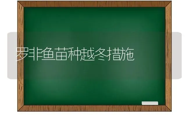 罗非鱼苗种越冬措施 | 淡水养殖