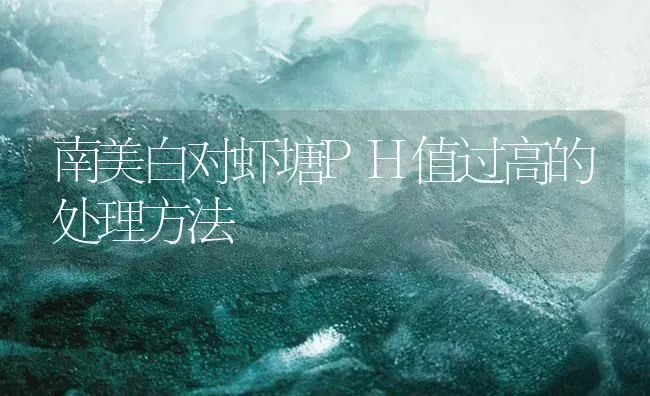 南美白对虾塘PH值过高的处理方法 | 海水养殖