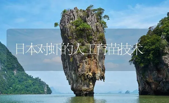 日本对虾的人工育苗技术 | 海水养殖
