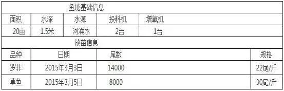 同苗同料养出来的罗非鱼差异显著？合理投喂是关键！