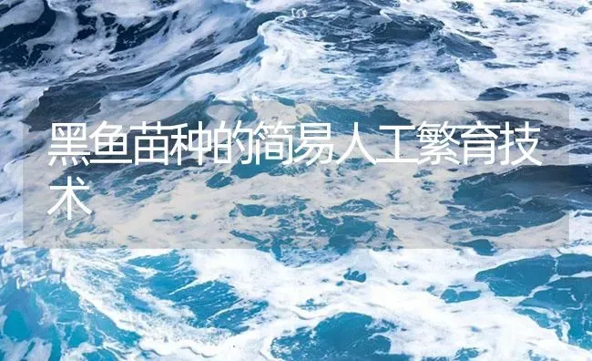 黑鱼苗种的简易人工繁育技术 | 淡水养殖