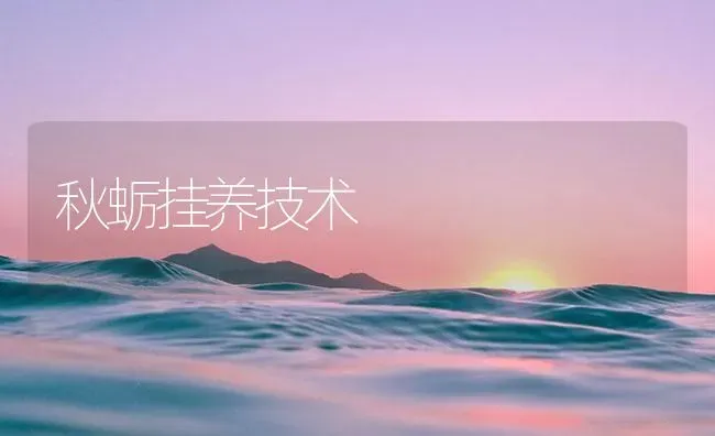 秋蛎挂养技术 | 海水养殖