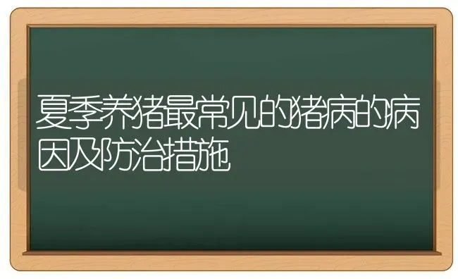 夏季养猪最常见的猪病的病因及防治措施 | 家畜养殖