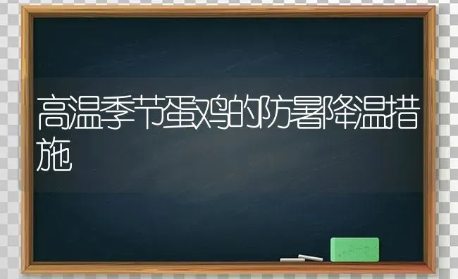 高温季节蛋鸡的防暑降温措施 | 家禽养殖