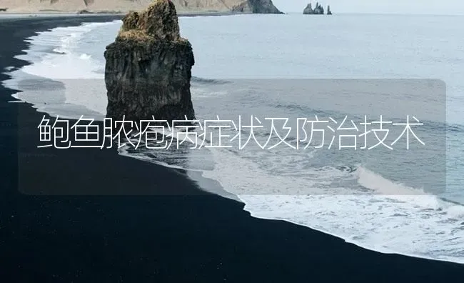 鲍鱼脓疱病症状及防治技术 | 养殖病虫害防治