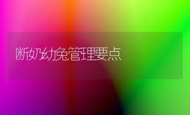 断奶幼兔管理要点 | 家畜养殖