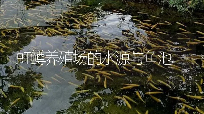 虹鳟养殖场的水源与鱼池 | 淡水养殖