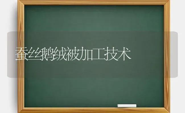 蚕丝鹅绒被加工技术 | 家禽养殖