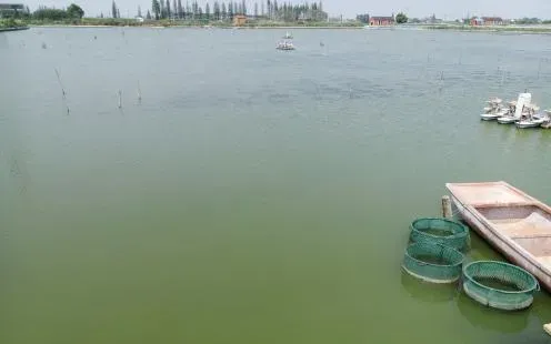 肥水，不要被你的眼睛所欺骗