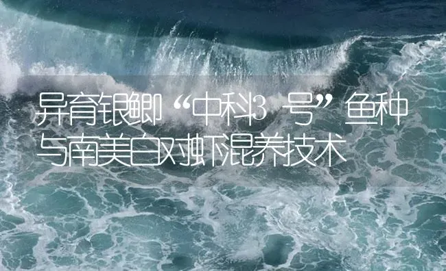 异育银鲫“中科3号”鱼种与南美白对虾混养技术 | 海水养殖