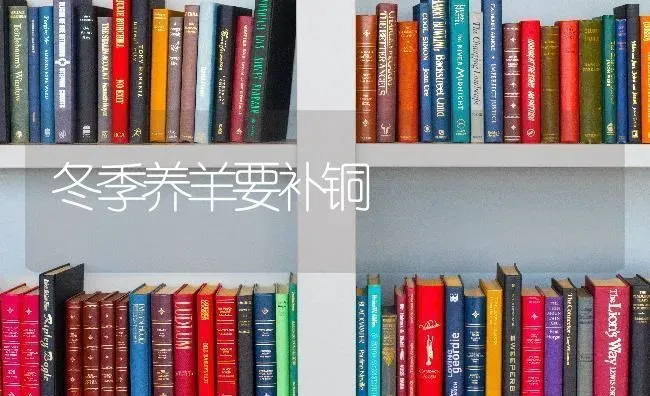 冬季养羊要补铜 | 家畜养殖