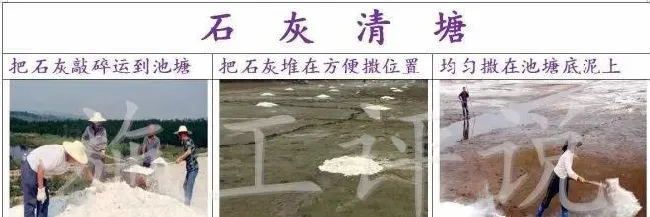 清塘虽然麻烦但效果很彻底，养殖户不能太依赖底改调水产品