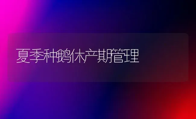 夏季种鹅休产期管理 | 家禽养殖