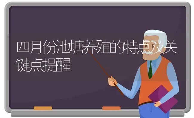 四月份池塘养殖的特点及关键点提醒 | 动物养殖百科