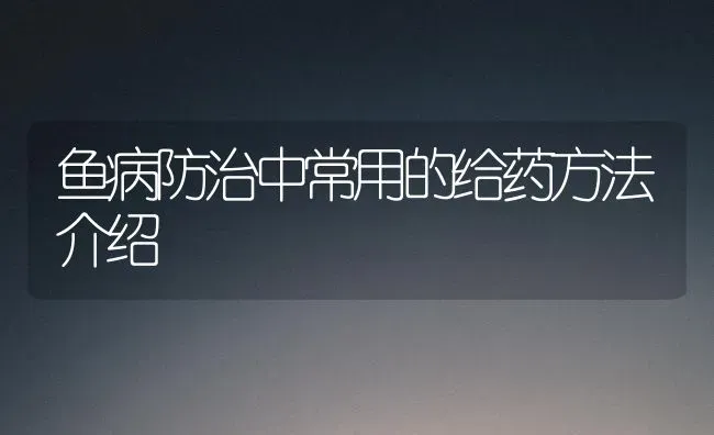 鱼病防治中常用的给药方法介绍 | 养殖病虫害防治