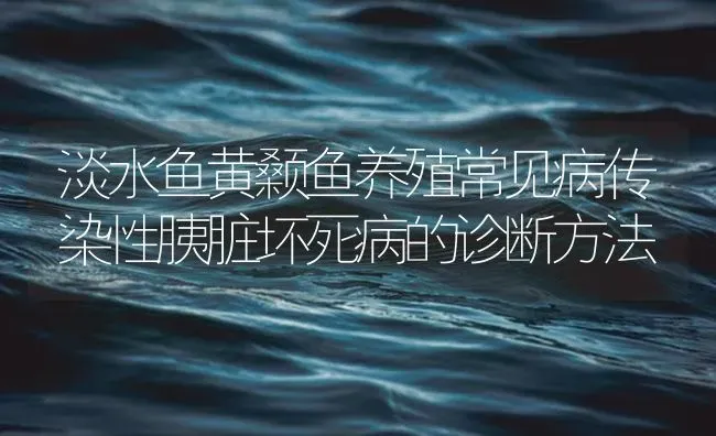 淡水鱼黄颡鱼养殖常见病传染性胰脏坏死病的诊断方法 | 养殖病虫害防治