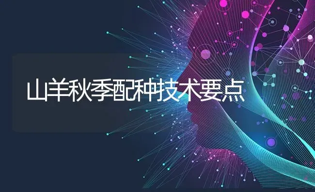 山羊秋季配种技术要点 | 家畜养殖