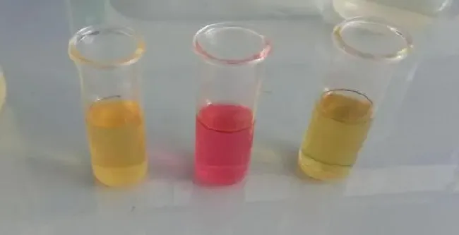 肥水，不要被你的眼睛所欺骗