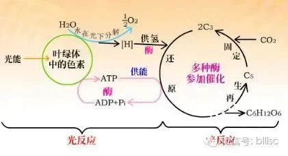 水产养殖池塘溶解氧及缺氧时防治方案