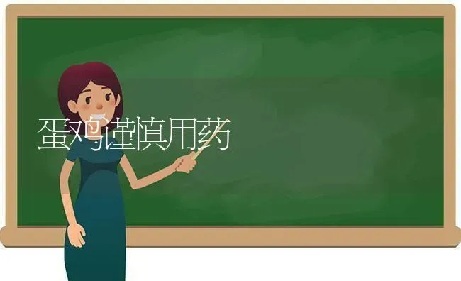 蛋鸡谨慎用药 | 养殖病虫害防治