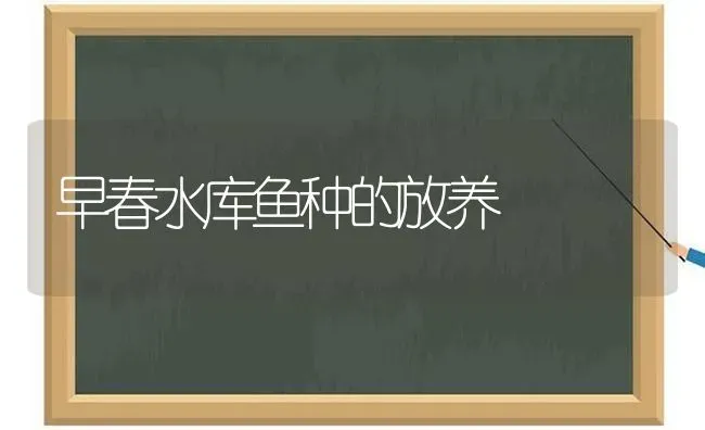 早春水库鱼种的放养 | 淡水养殖