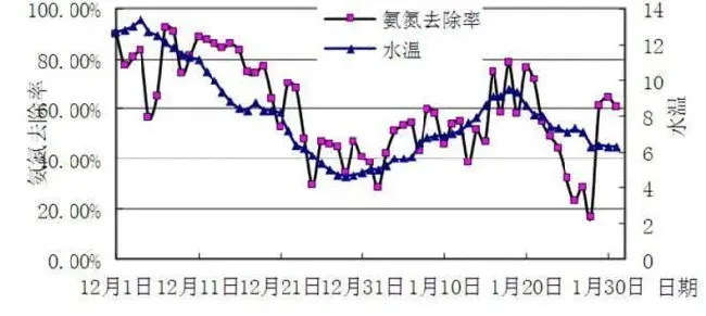 工厂化养殖必看！作为养殖老手，低温下活菌制剂你都用对了吗