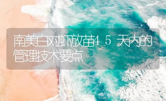 南美白对虾放苗45天内的管理技术要点 | 海水养殖