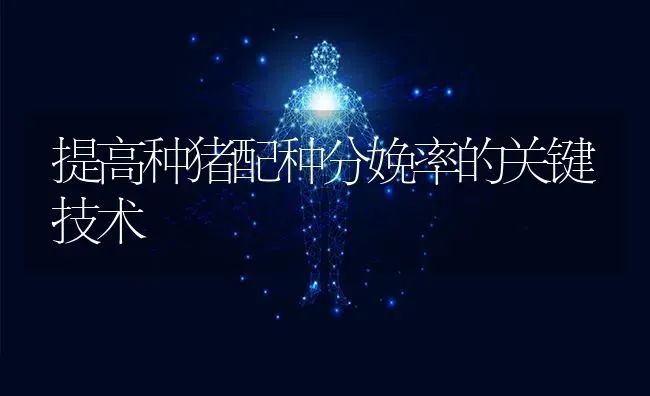 提高种猪配种分娩率的关键技术 | 家畜养殖