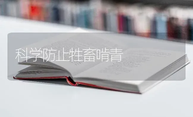 科学防止牲畜啃青 | 家畜养殖