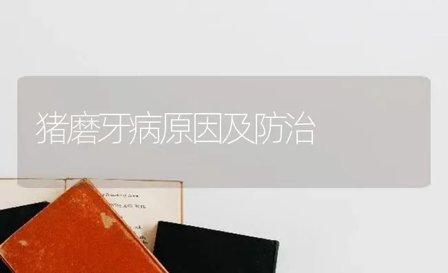 猪磨牙病原因及防治 | 家畜养殖