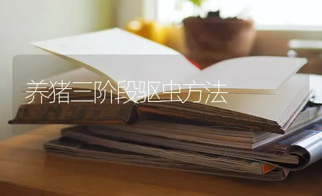 养猪三阶段驱虫方法 | 家畜养殖
