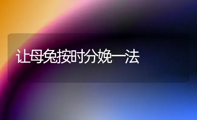 让母兔按时分娩一法 | 家畜养殖