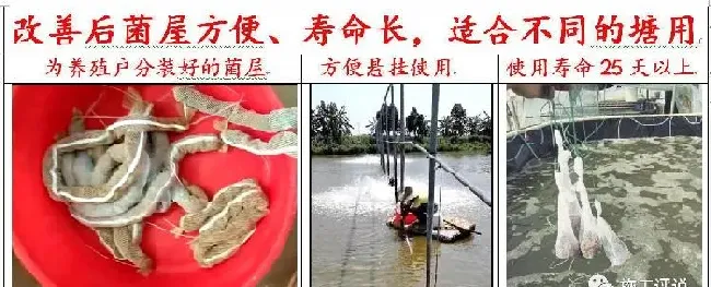 养殖户拼命泼洒微生物或在水中无限培养微生物，不一定是好事！