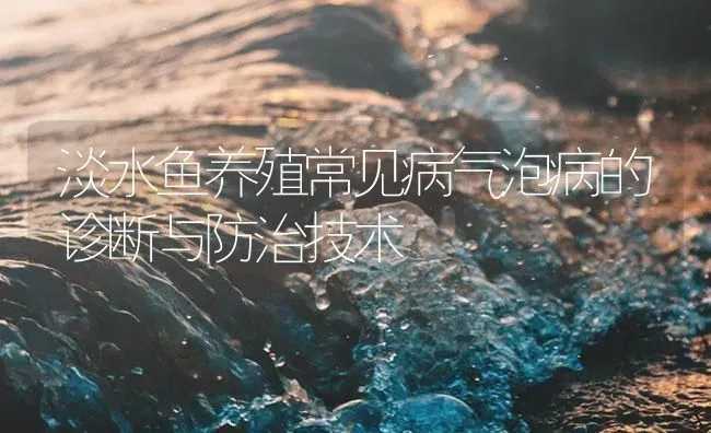 淡水鱼养殖常见病气泡病的诊断与防治技术 | 养殖病虫害防治