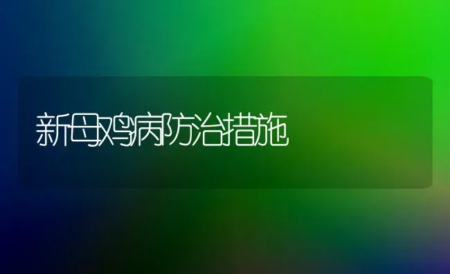 新母鸡病防治措施 | 家禽养殖