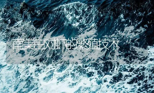 南美白对虾的繁殖技术 | 海水养殖