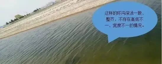 河蟹养殖换个角度看青苔