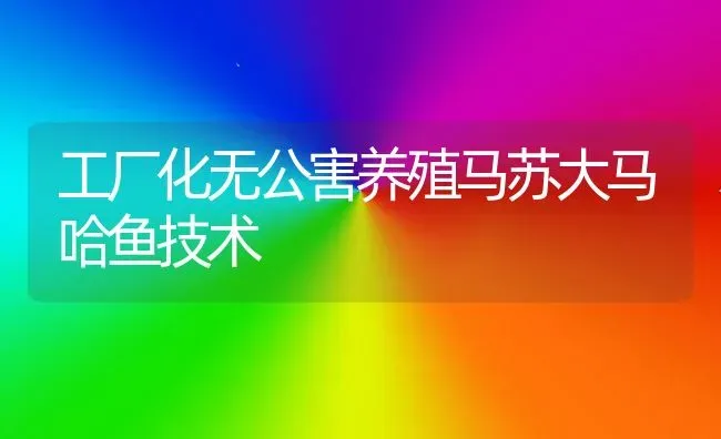 工厂化无公害养殖马苏大马哈鱼技术 | 淡水养殖