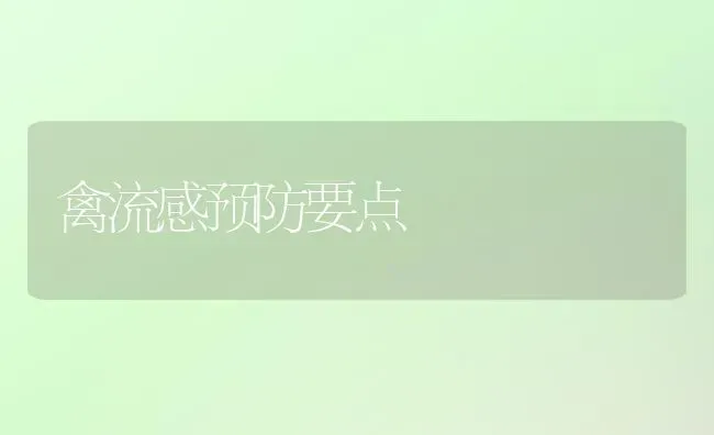 禽流感预防要点 | 家禽养殖