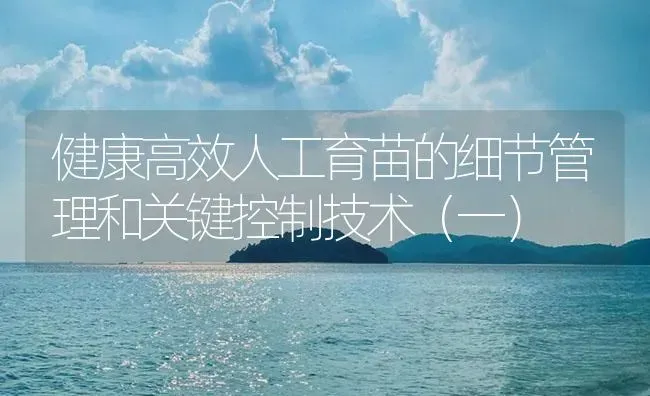 健康高效人工育苗的细节管理和关键控制技术（一） | 海水养殖