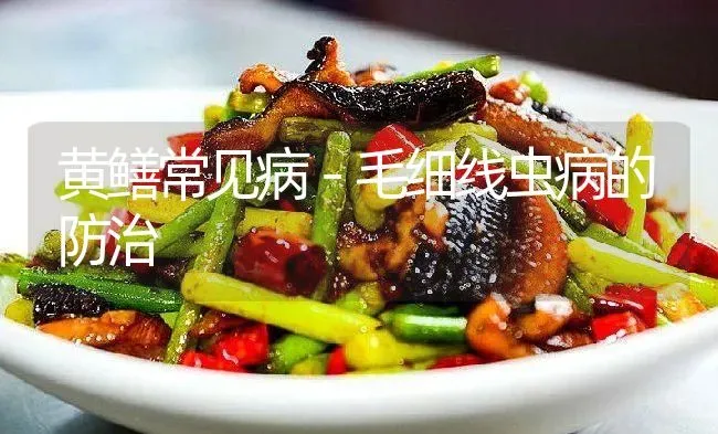 黄鳝常见病－毛细线虫病的防治 | 淡水养殖