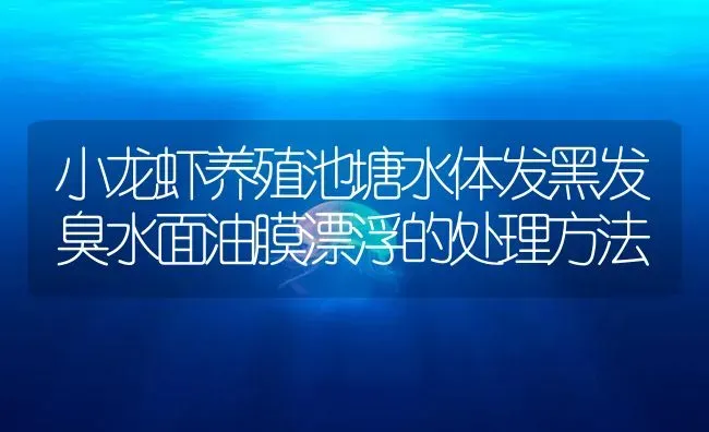 小龙虾养殖池塘水体发黑发臭水面油膜漂浮的处理方法 | 海水养殖